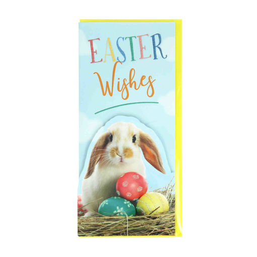 Picture of EASTER MONEY WALLETS RABBIT WITH EGGS